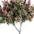 Crape Myrtle Outdoor Plant Set 3D model small image 4