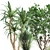 Tropical Plant Collection: Yucca, Palm, Ravenala & More 3D model small image 2