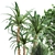Tropical Plant Collection: Yucca, Palm, Ravenala & More 3D model small image 5