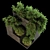 LushBot: 428k Poly Unique Plant 3D model small image 3
