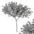 Green Jacob Broadleaf Tree Set 41 3D model small image 7