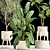 Exotic Plant Collection in Decorative White Baskets 3D model small image 2