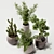 Modern Indoor Plant Decor 3D model small image 3