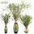 Lush Grass Bouquet: 3 Types 3D model small image 1