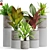 Exquisite Plant Assortment 556 3D model small image 1