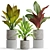 Exquisite Plant Assortment 556 3D model small image 2