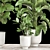 Tropical Plant Collection: Ficus, Strelitzia, and Banana Palm 3D model small image 3