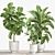 Tropical Plant Collection: Ficus, Strelitzia, and Banana Palm 3D model small image 6