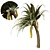 Tropical Date Palm Tree 3D model small image 1