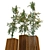 Natural Bamboo Set: 3 Unique Designs 3D model small image 2