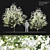 Flowering Dogwood Tree Set 3D model small image 1