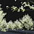 Flowering Dogwood Tree Set 3D model small image 2