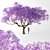 Jacaranda Mimosifolia: Stunning Blossom Tree 3D model small image 1