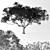 Jacaranda Mimosifolia: Stunning Blossom Tree 3D model small image 2