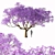 Jacaranda Mimosifolia: Stunning Blossom Tree 3D model small image 3