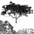 Jacaranda Mimosifolia: Stunning Blossom Tree 3D model small image 4