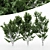  Versatile White Birch Tree Set 3D model small image 1