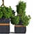 Versatile Outdoor Plant Set 3D model small image 2