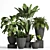 Elegant Indoor Plant Set 3D model small image 1