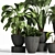 Elegant Indoor Plant Set 3D model small image 2