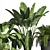 Elegant Indoor Plant Set 3D model small image 4