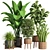 Ultimate Indoor Plant Collection 3D model small image 1