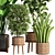 Ultimate Indoor Plant Collection 3D model small image 2