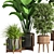 Ultimate Indoor Plant Collection 3D model small image 3