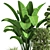 Ultimate Indoor Plant Collection 3D model small image 5