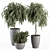 265-Piece Indoor Plant Set: Potted Greenery Galore 3D model small image 1