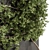 Wall-mounted Ivy Plant Set 3D model small image 3
