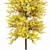 Ginkgo Biloba Tree: Perfect Fall Foliage 3D model small image 3