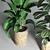 Envelope Vase: Cardboard Pocket Plant Pot 3D model small image 3