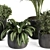 Green Oasis Succulent Set 3D model small image 2