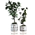 Elegant Plant Vase Set 3D model small image 2