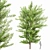 Exquisite Ginkgo Biloba Tree: Stunning 3D Model 3D model small image 1