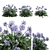 Agapanthus 2013: 3D Floral Model 3D model small image 7