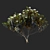 Magnolia Grandiflora 3D Model 3D model small image 2