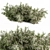 Elegant Green & White Bush Set 3D model small image 1