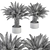Tropical Oasis: Outdoor Plant Set 3D model small image 4