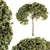 Evergreen Tree Set - 40 Pieces 3D model small image 1