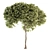 Evergreen Tree Set - 40 Pieces 3D model small image 4
