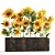 Rustic Sunflower Collection 3D model small image 1