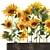 Rustic Sunflower Collection 3D model small image 2