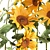 Rustic Sunflower Collection 3D model small image 5