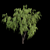 Elegant Willow Tree 3D Models 3D model small image 3