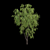 Elegant Willow Tree 3D Models 3D model small image 4