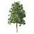 3 Pine Trees for Landscaping 3D model small image 4