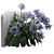 Elegant Agapanthus Wall Model 3D model small image 2