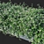 Trachelospermum Jasminoides: Stunning Floral Ornament 3D model small image 2